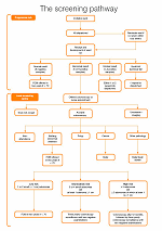 The screening pathway. Please click to see PDF (25Kb)