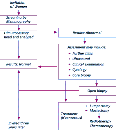 What happens at a Breast Screening Unit